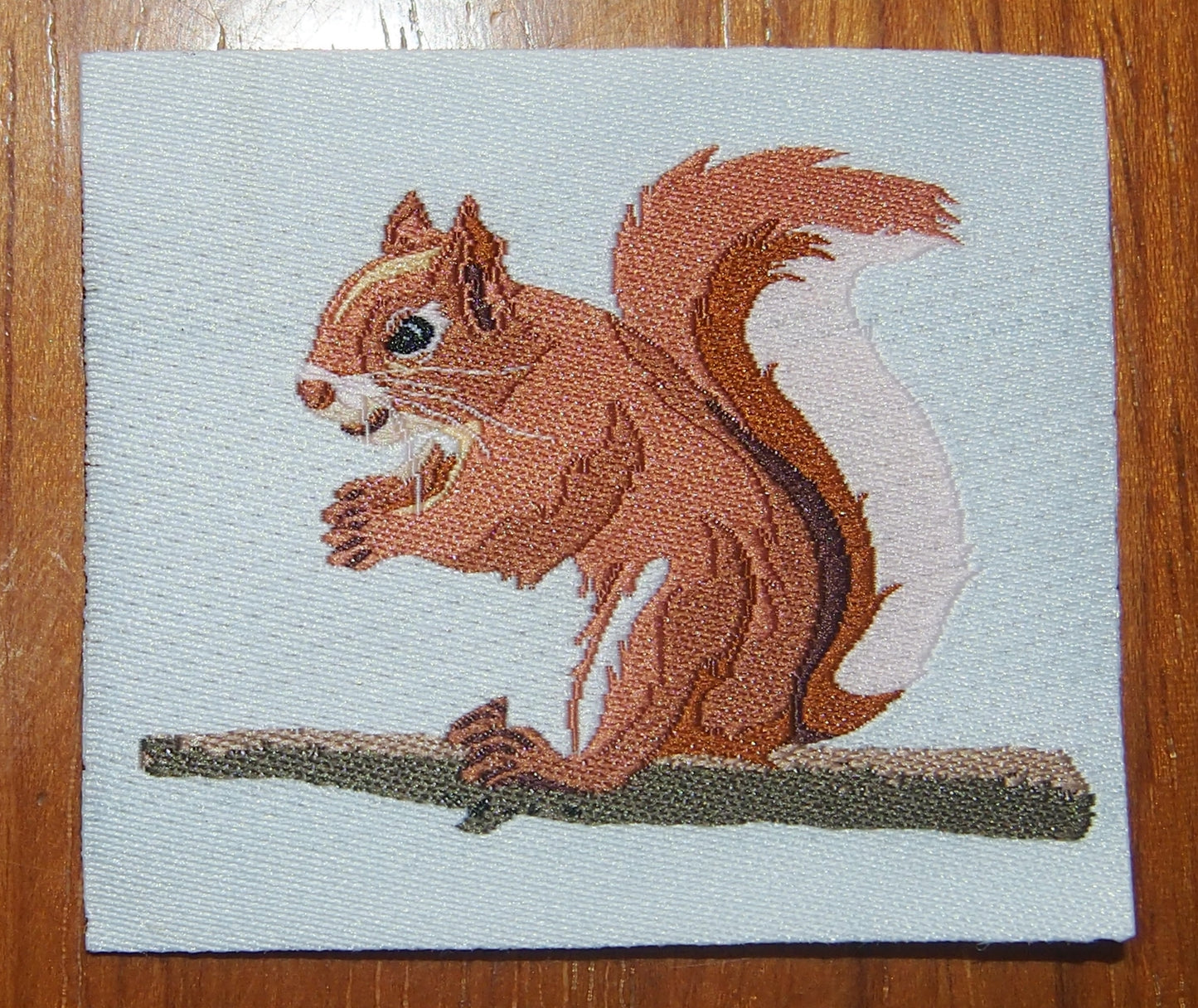 Etiquette brodée Ecureuil