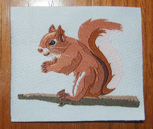 Etiquette brodée Ecureuil
